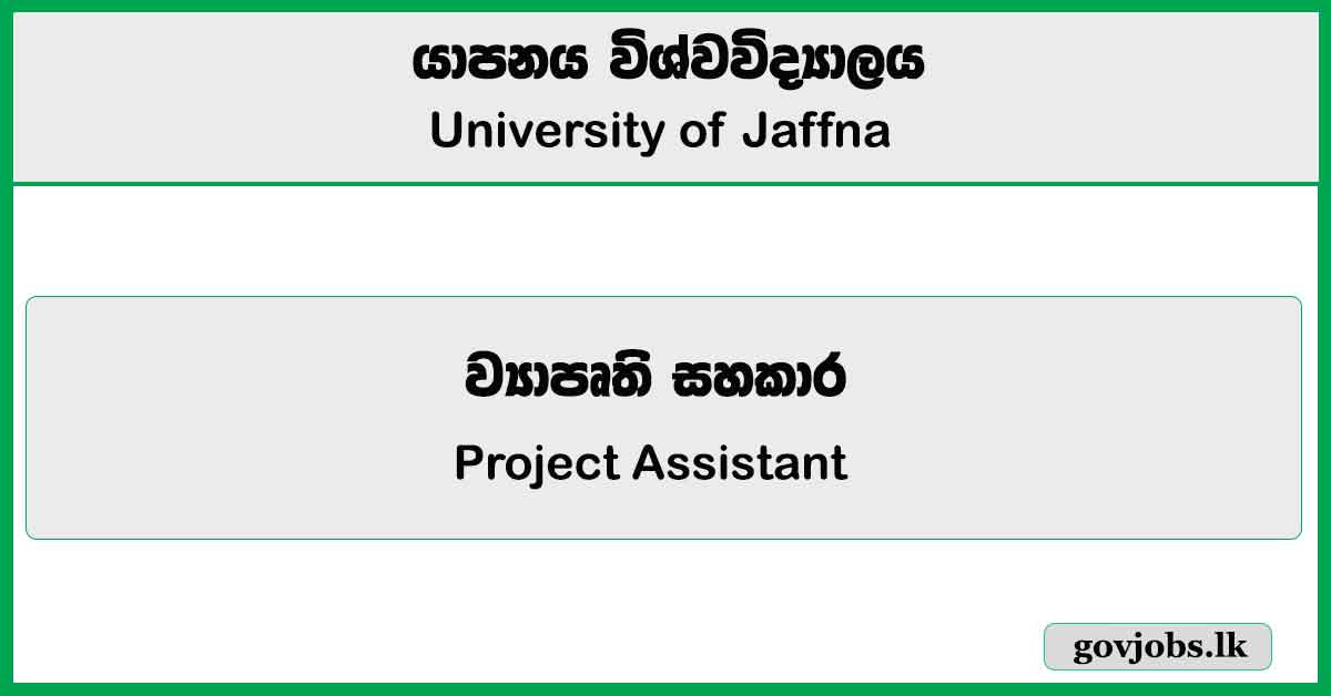 Project Assistant - University of Jaffna Job Vacancies 2024