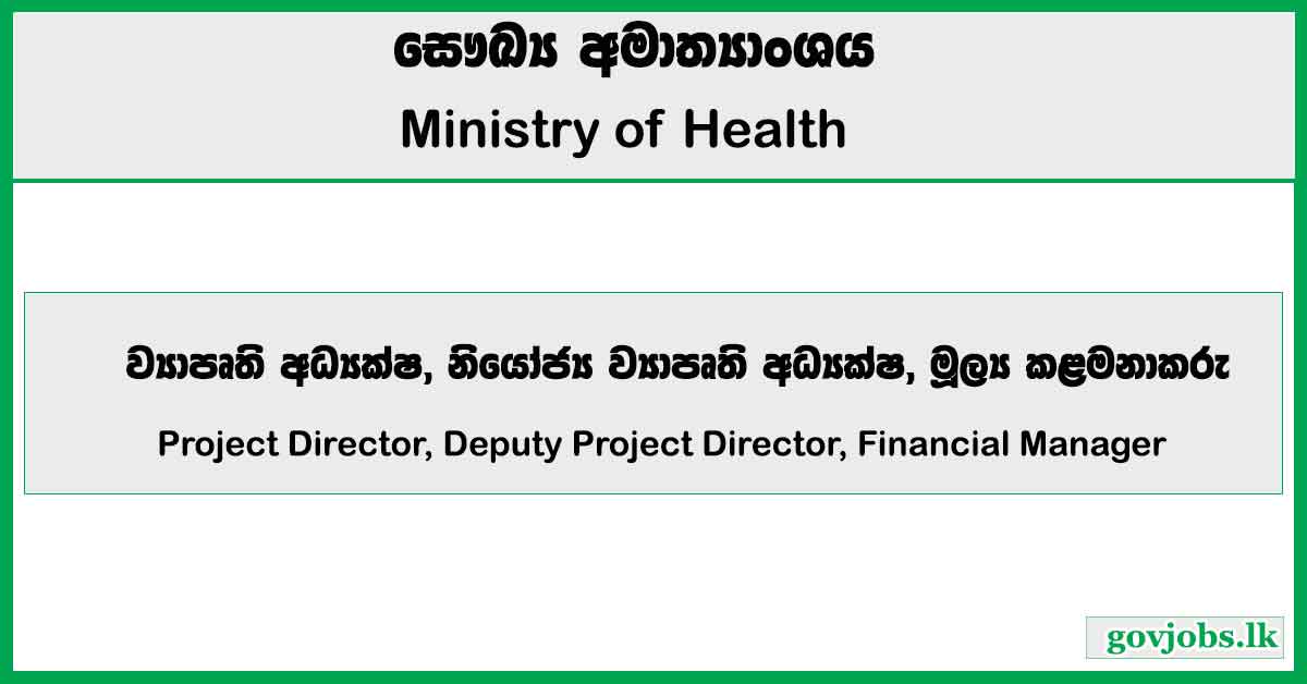 Project Director, Deputy Project Director, Financial Manager - Ministry of Health Job Vacancies 2024