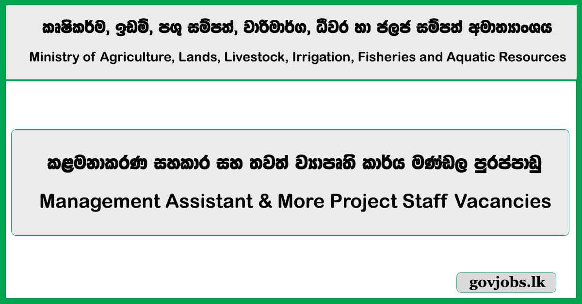 Management Assistant & More Project Staff Vacancies – Ministry of Agriculture, Lands, Livestock, Irrigation, Fisheries and Aquatic Resources Job Vacancies 2024