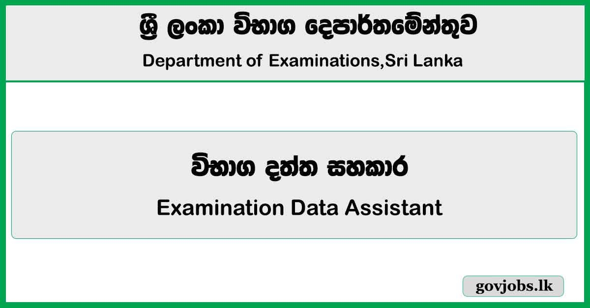 Examination Data Assistant - Department of Examinations Job Vacancies 2024