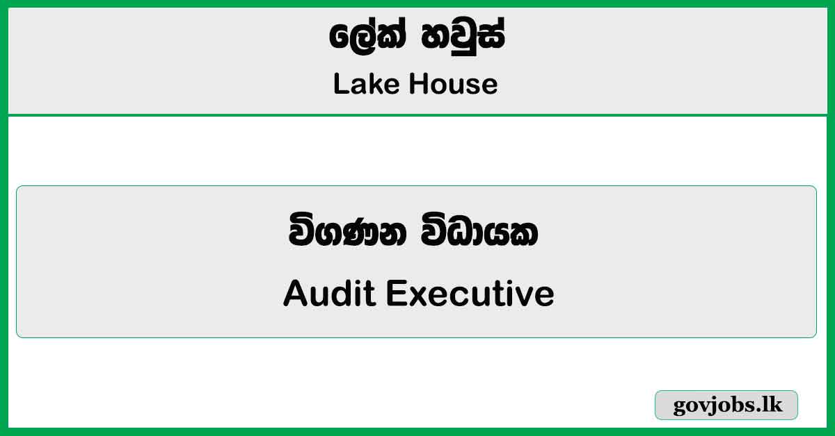 Audit Executive - Lake House Job Vacancies 2024