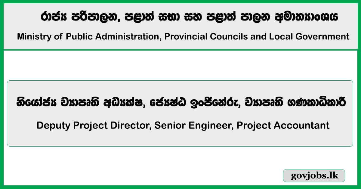 Deputy Project Director, Senior Engineer, Project Accountant - Ministry of Public Administration, Provincial Councils and Local Government Job Vacancies 2025