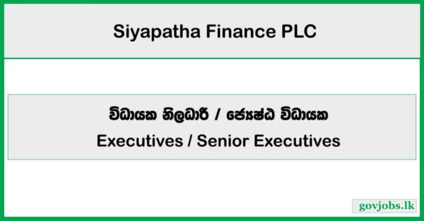 Executives / Senior Executives - Siyapatha Finance PLC Job Vacancies 2025