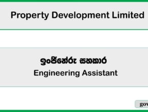 Engineering Assistant – Property Development Limited Job Vacancies 2025