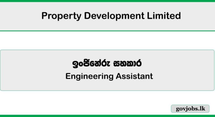 Engineering Assistant – Property Development Limited Job Vacancies 2025
