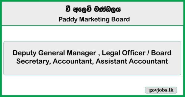 Deputy General Manager , Legal Officer / Board Secretary, Accountant, Assistant Accountant – Paddy Marketing Board Job Vacancies 2025