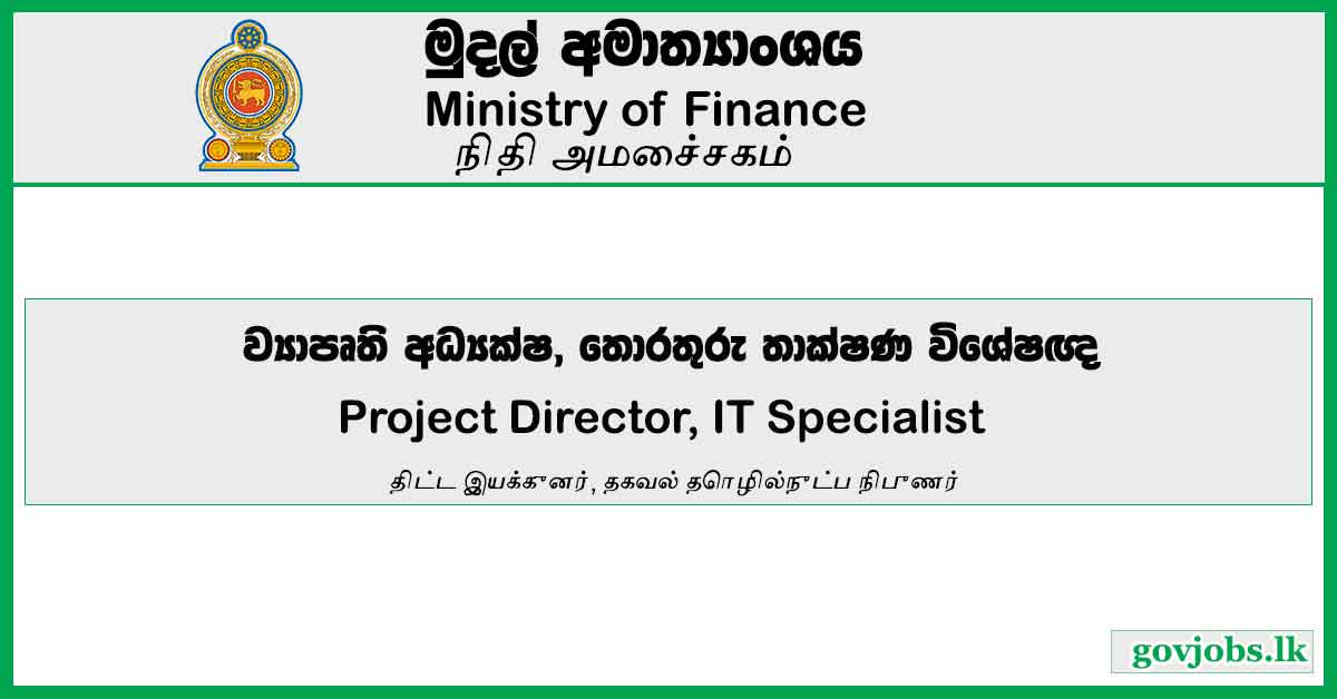 Project Director/ IT Specialist – Ministry of Finance Job Vacancies 2024