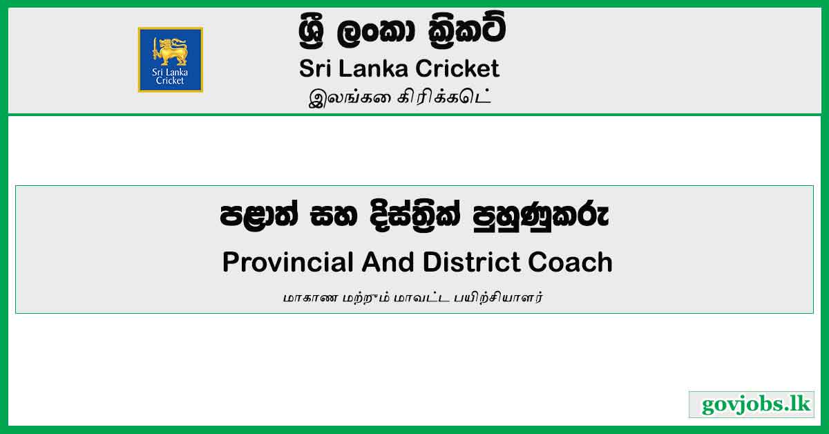 Provincial And District Coach - Sri Lanka Cricket Job Vacancies 2024