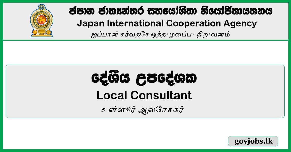 Local Consultant - Japan International Cooperation Agency Job Vacancies 2024