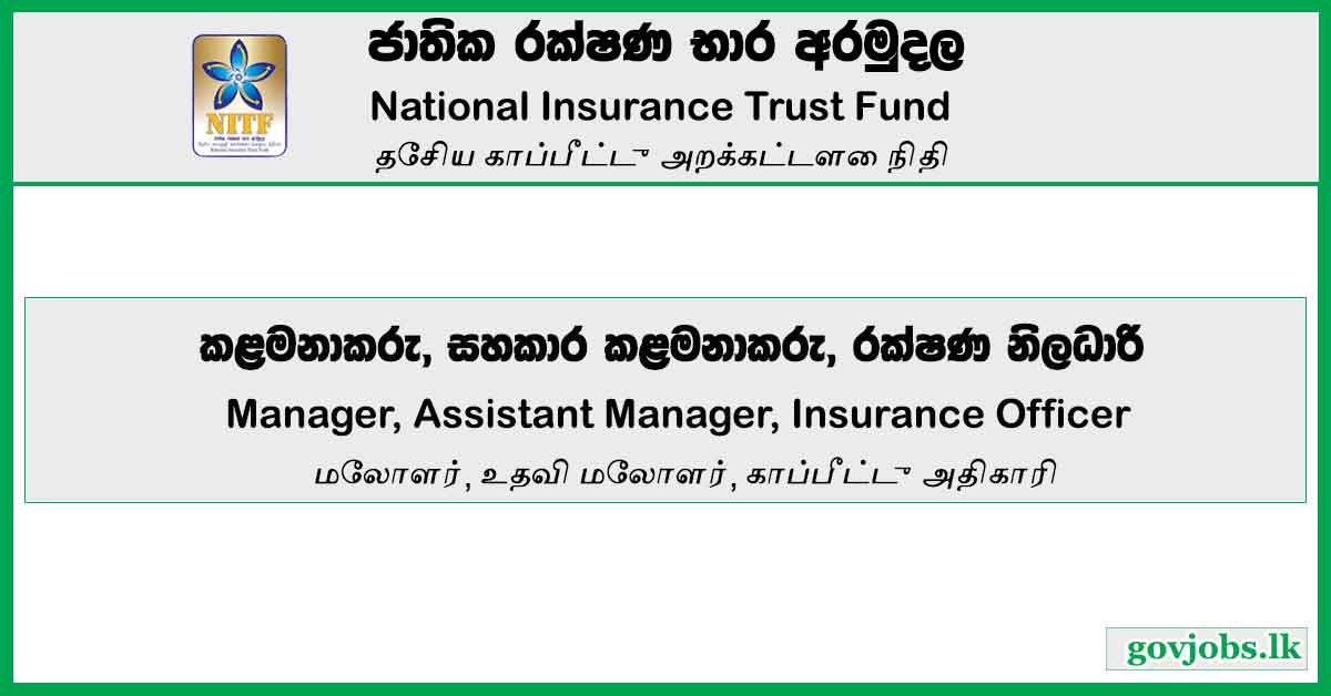 Manager, Assistant Manager, Insurance Officer - National Insurance Trust Fund Job Vacancies 2024