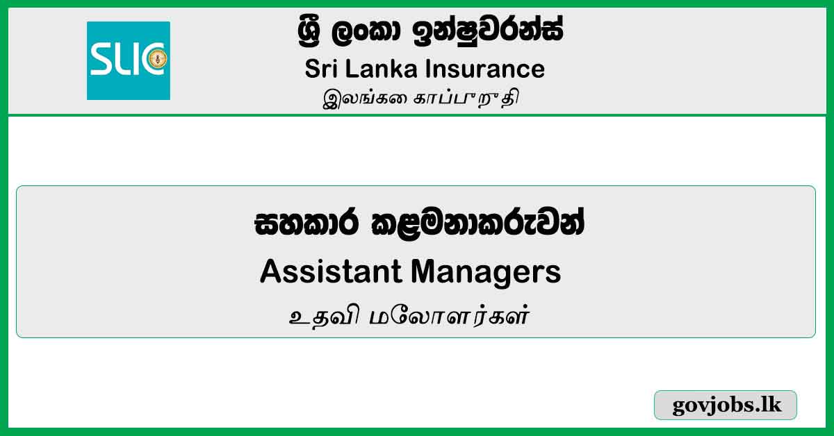 Assistant Managers – Sri Lanka Insurance Job Vacancies 2024