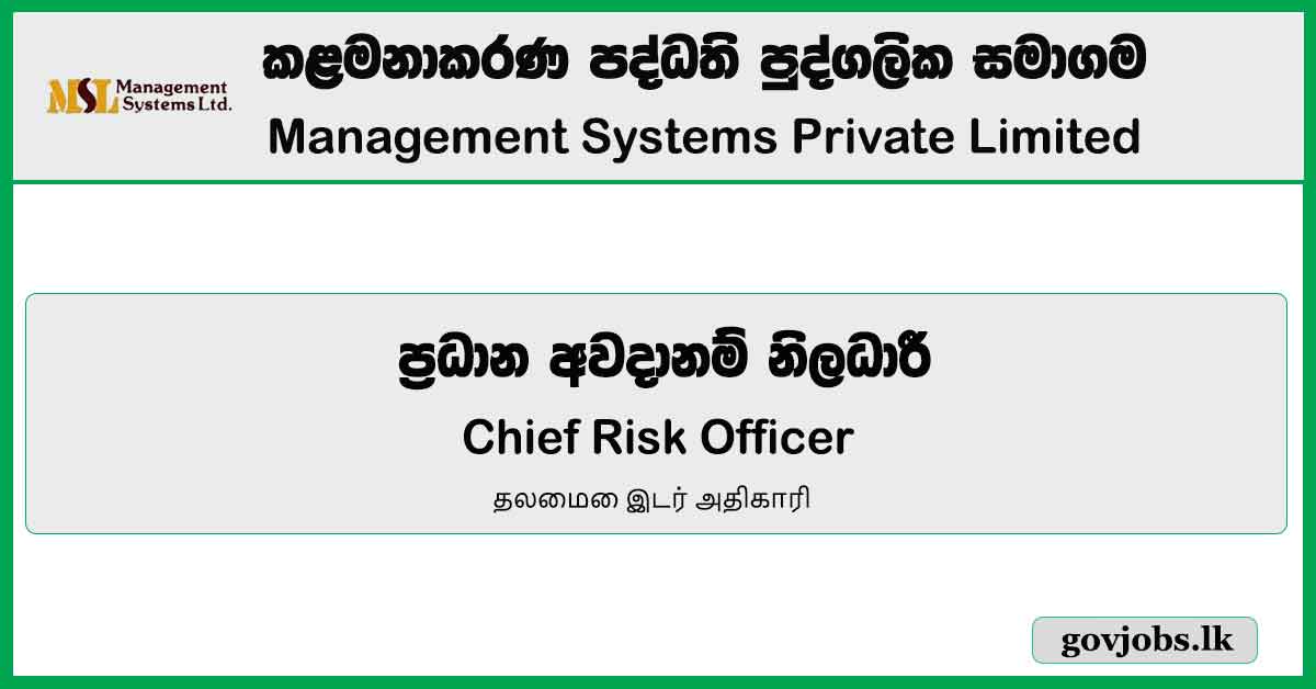 Chief Risk Officer – Management Systems Private Job Vacancies 2024