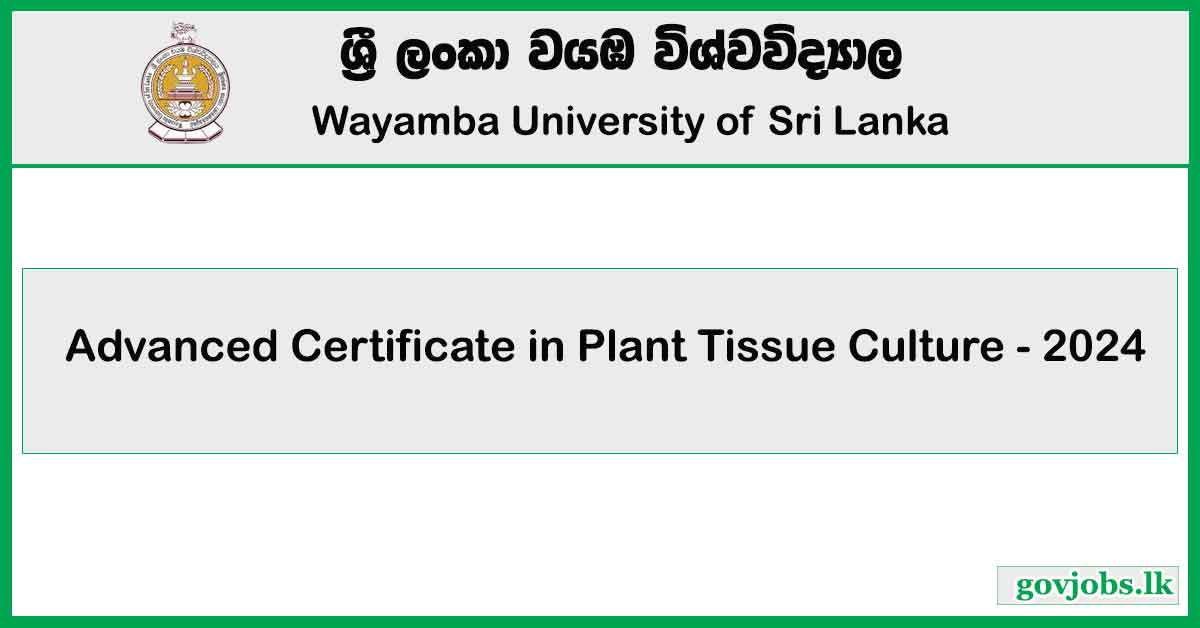 Wayamba University - Advanced Certificate in Plant Tissue Culture 2024