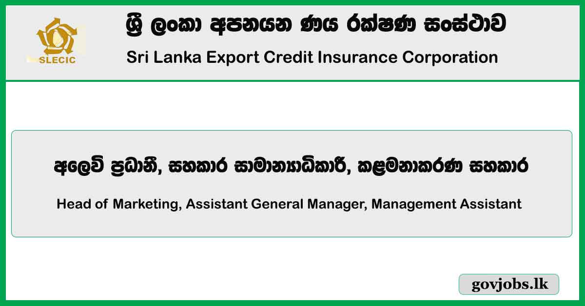 Head Of Marketing, Assistant General Manager, Management Assistant - Sri Lanka Export Credit Insurance Corporation Job Vacancies 2024