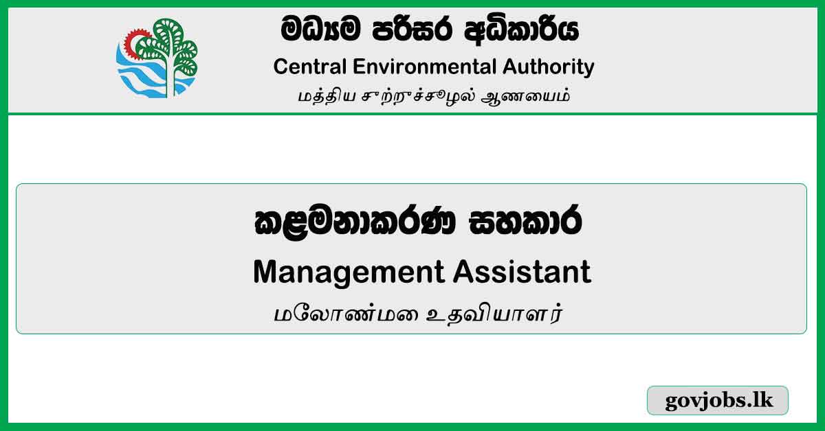 Management Assistant – Central Environmental Authority Job Vacancies 2024