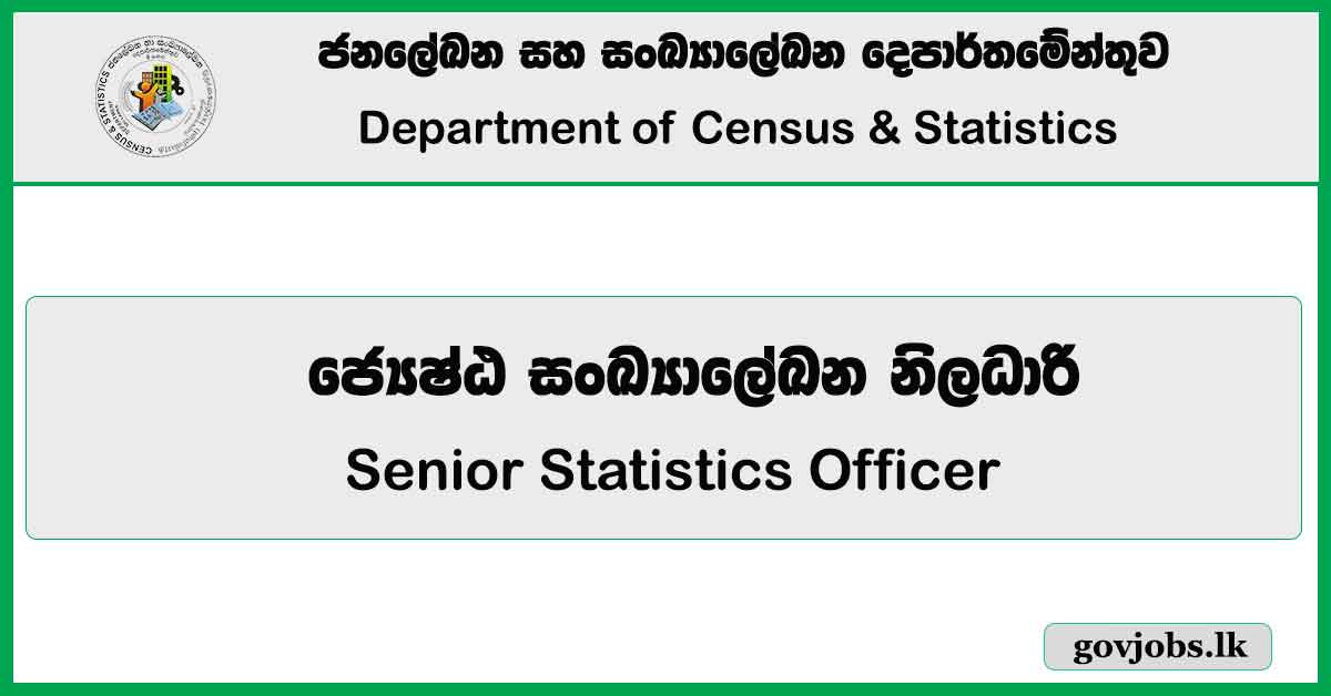 Senior Statistics Officer - Department Of Census And Statistics Job Vacancies 2024