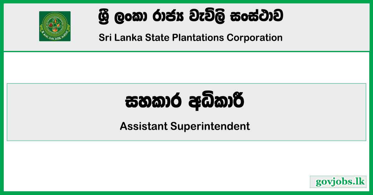 Assistant Superintendent - Sri Lanka State Plantations Corporation Job Vacancies 2024