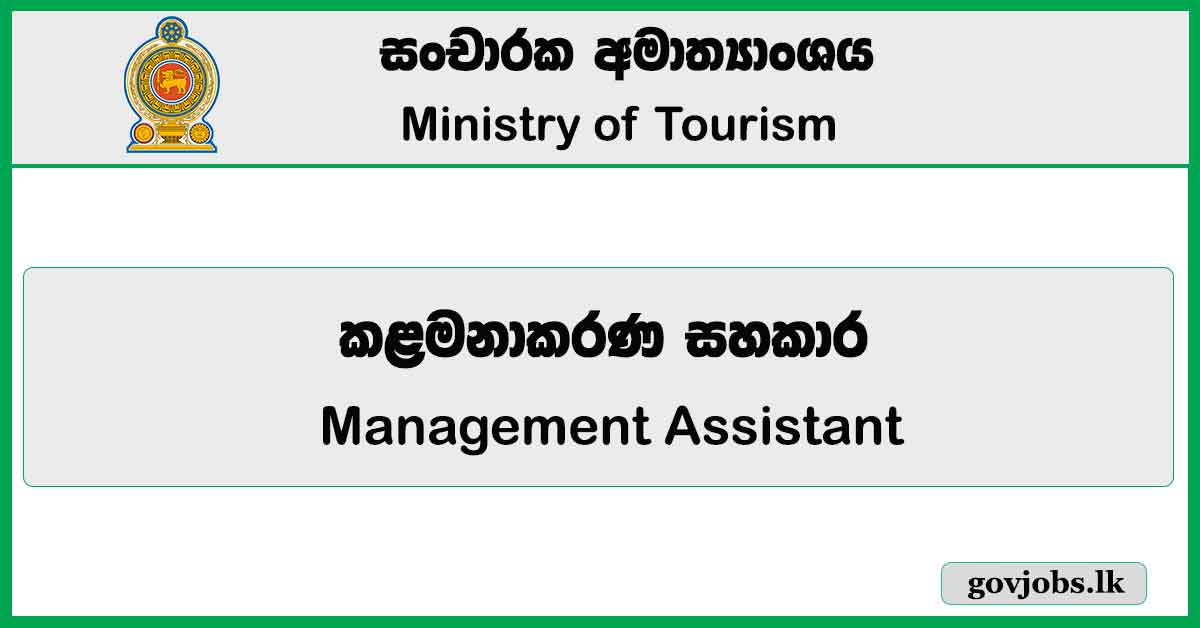 Management Assistant - Ministry of Tourism Job Vacancies 2024