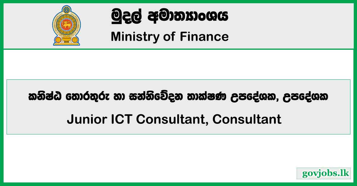 Junior ICT Consultant, Consultant - Ministry Of Finance Job Vacancies 2024