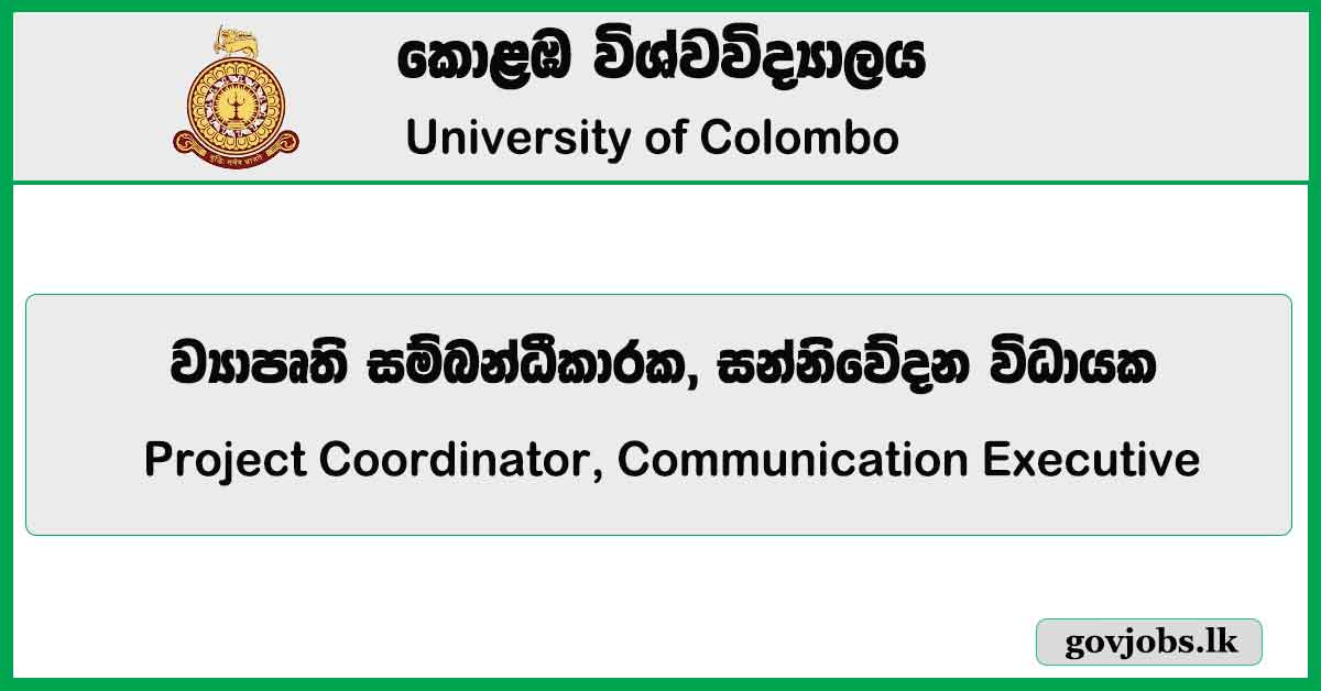 Project Coordinator, Communication Executive - University Of Colombo Job Vacancies 2024