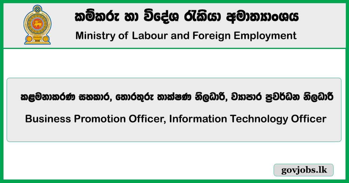 Business Promotion Officer, Information Technology Officer - Ministry Of Labour And Foreign Employment Job Vacancies 2024