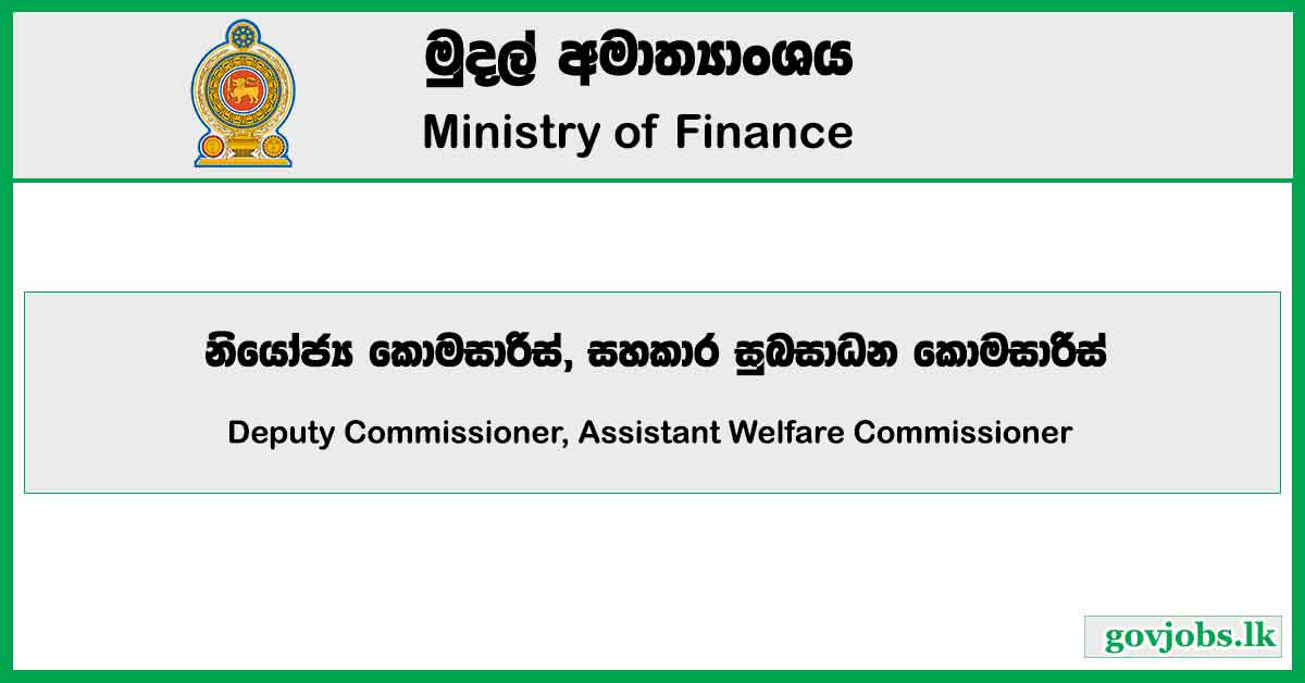 Deputy Commissioner, Assistant Welfare Commissioner - Ministry Of Finance Job Vacancies 2024