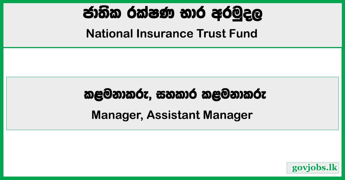 Manager, Assistant Manager - National Insurance Trust Fund Job Vacancies 2024