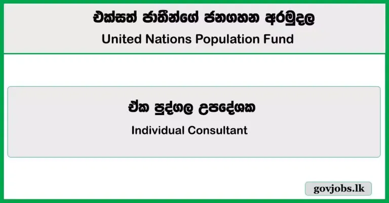 Individual Consultant - United Nations Population Fund (UNFPA) Job Vacancies 2025