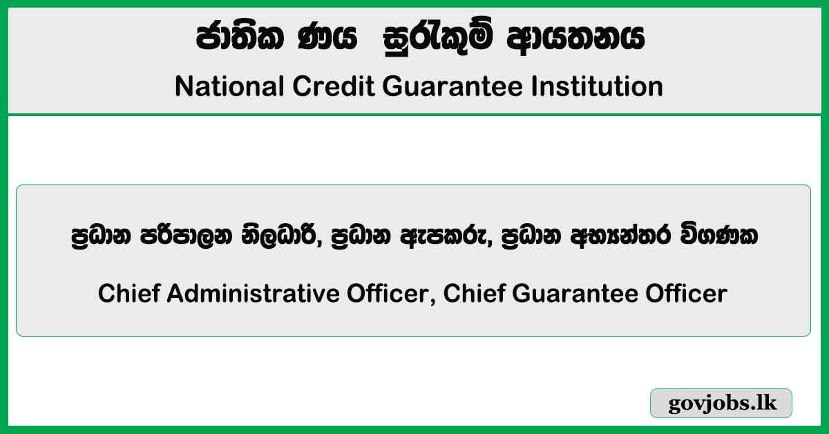 Chief Administrative Officer, Chief Guarantee Officer - National Credit Guarantee Institution Job Vacancies 2024