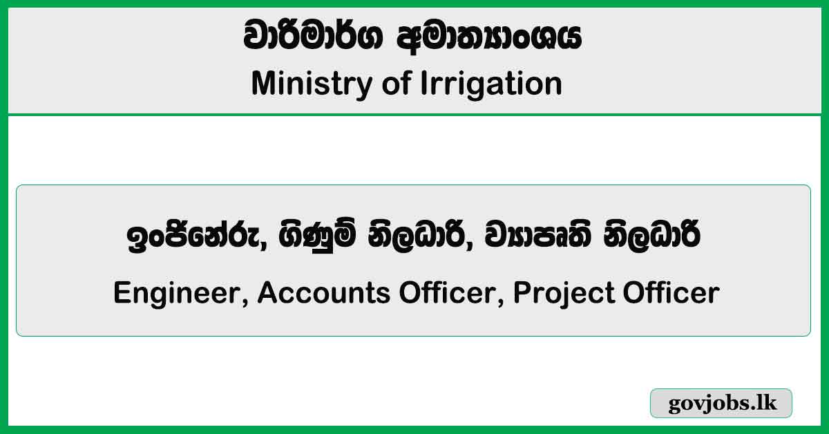 Engineer, Accounts Officer, Project Officer - Ministry Of Irrigation Job Vacancies 2024