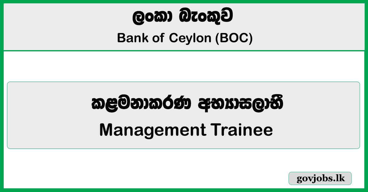 Management Trainee - Bank Of Ceylon Job Vacancies 2024
