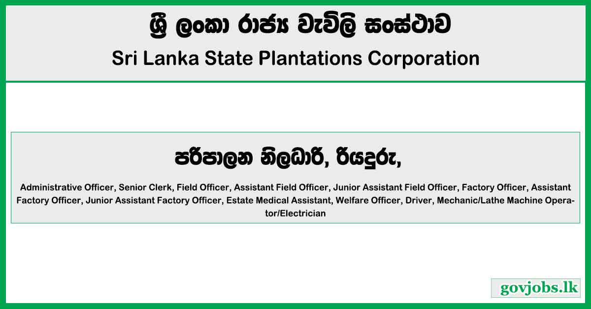 Sri Lanka State Plantations Corporation - Administrative Officer, Senior Clerk Job Vacancies 2024