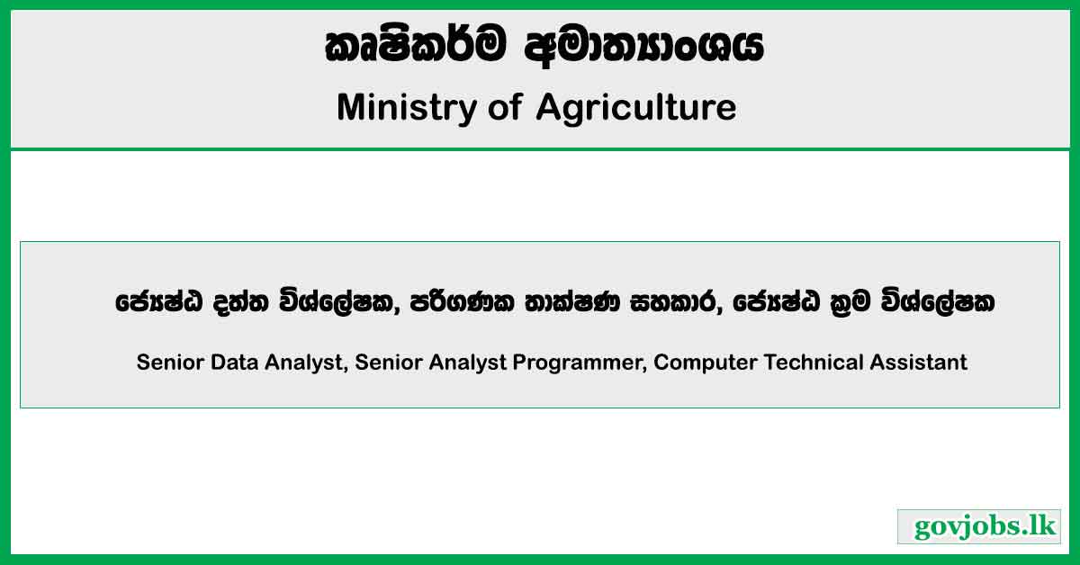 Senior Data Analyst, Senior Analyst Programmer, Computer Technical Assistant - Ministry Of Agriculture Job Vacancies 2024