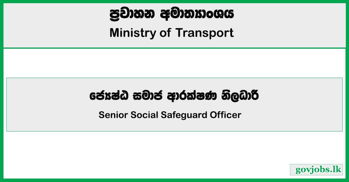 Senior Social Safeguard Officer - Ministry Of Transport Job Vacancies 2024