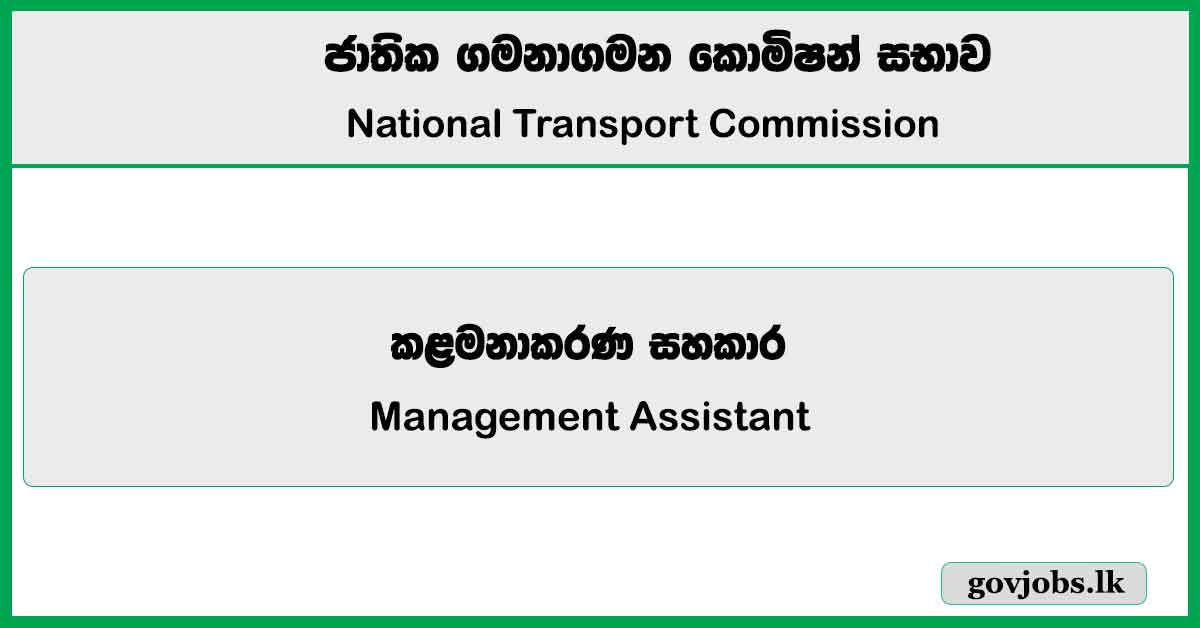 Management Assistant – National Transport Job Vacancies 2024