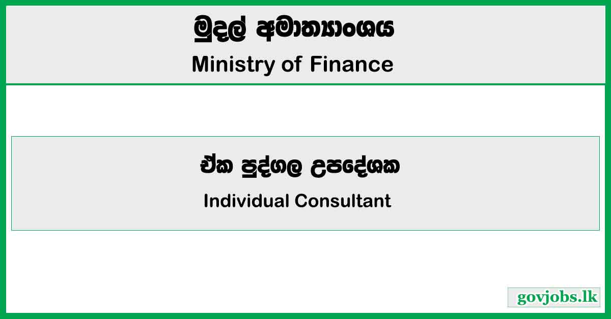 Individual Consultant - Ministry Of Finance Job Vacancies 2024