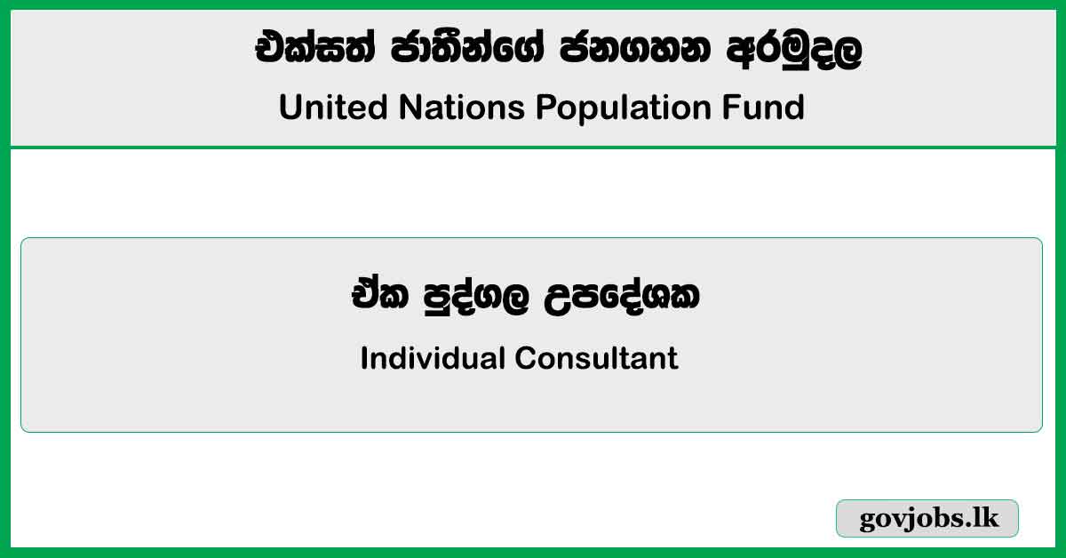 Individual Consultant - United Nations Population Fund Job Vacancies 2024