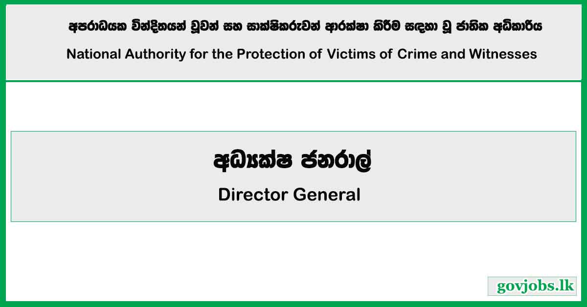 Director General - National Authority for the Protection of Victims of Crime and Witnesses Job Vacancies 2024