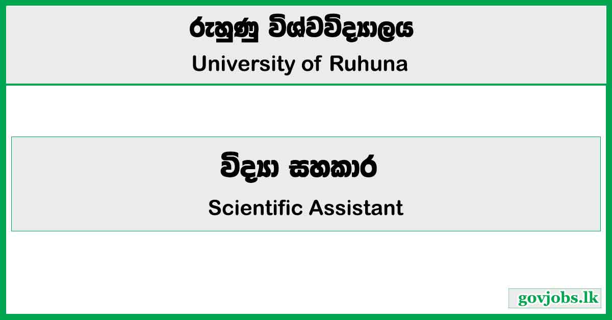 Scientific Assistant - University of Ruhuna Job Vacancies 2024