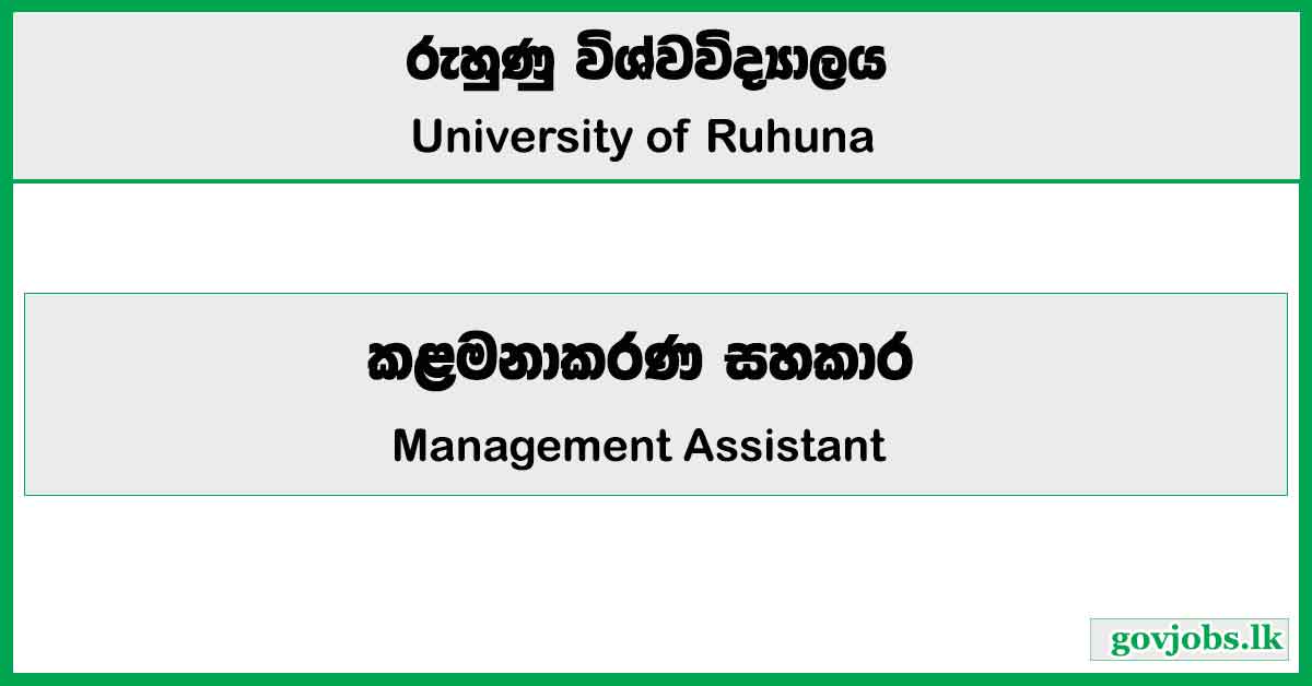 Management Assistant - University of Ruhuna Job Vacancies 2024