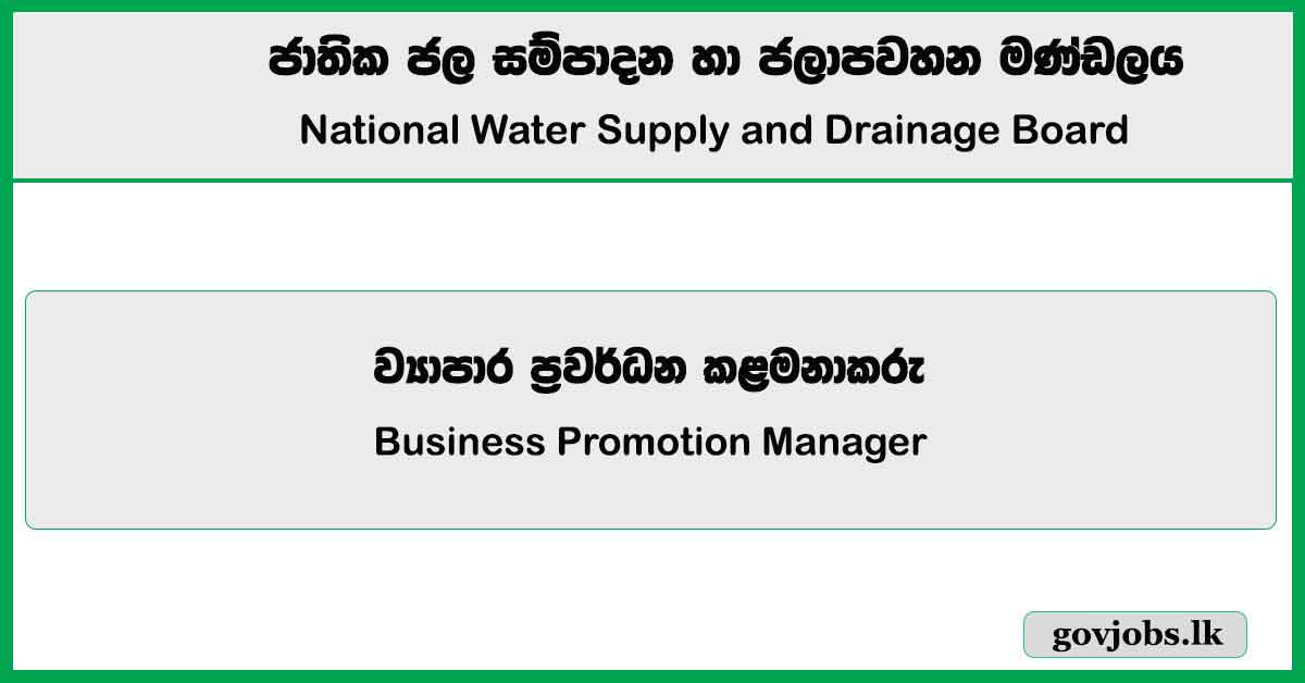 Business Promotion Manager - National Water Supply and Drainage Board Job Vacancies 2024