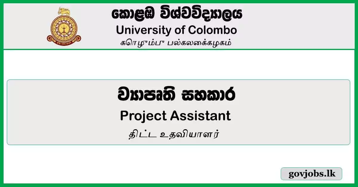 Project Assistant - University Of Colombo Job Vacancies 2024