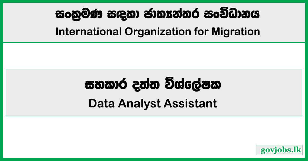 Data Analyst Assistant - International Organization for Migration Job Vacancies 2024