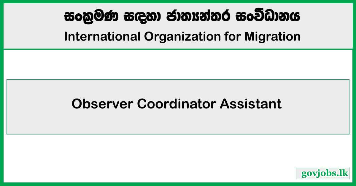 Observer Coordinator Assistant - International Organization for Migration Job Vacancies 2024