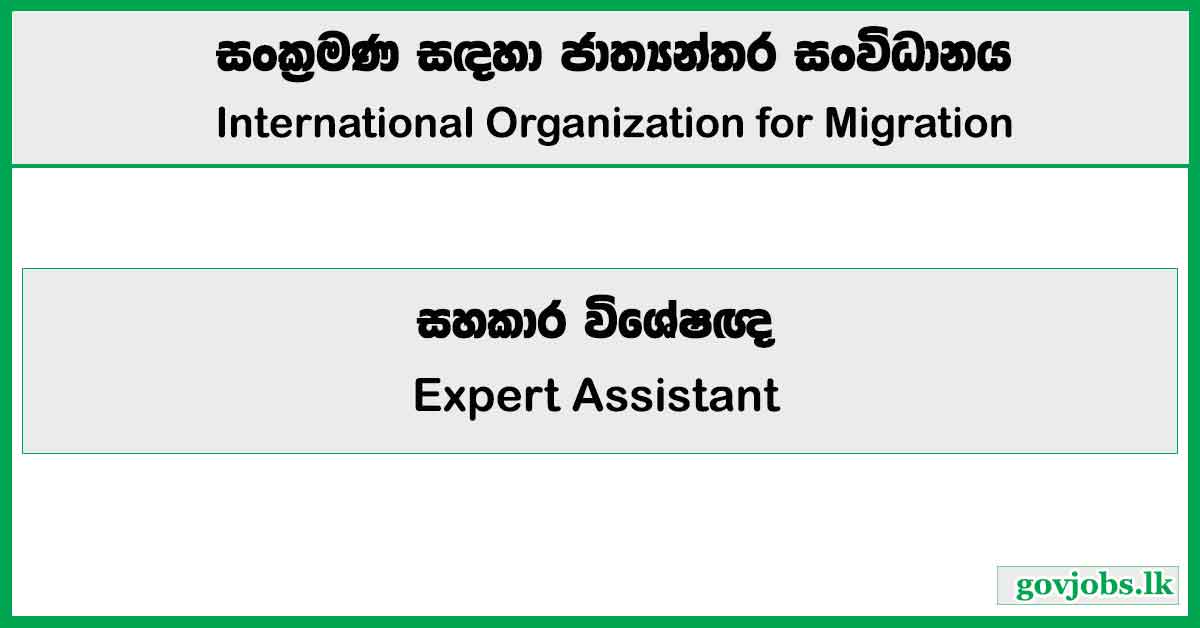 Expert Assistant - International Organization for Migration Job Vacancies 2024