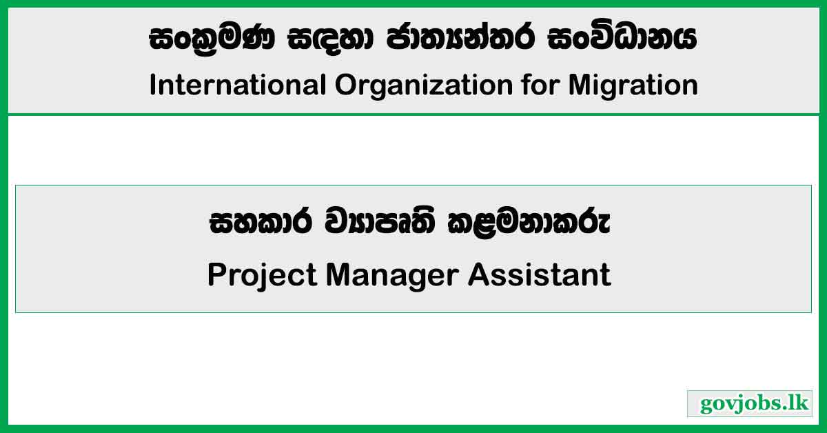 Project Manager Assistant - International Organization for Migration Job Vacancies 2024