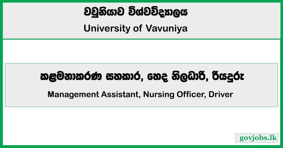 Management Assistant, Nursing Officer, Driver - University of Vavuniya Job Vacancies 2024