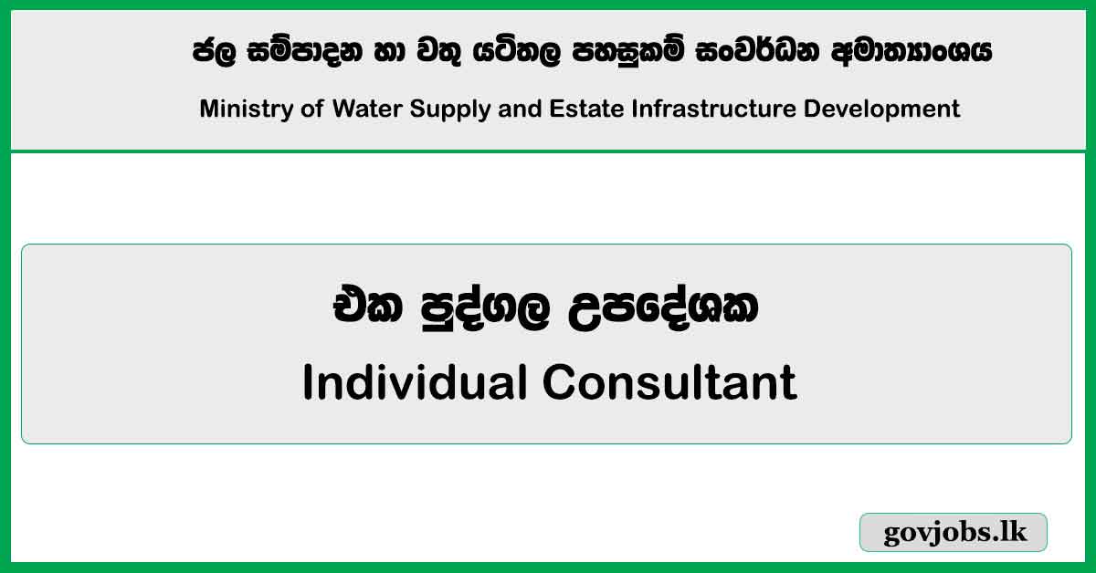 Individual Consultant - Ministry of Water Supply and Estate Infrastructure Development Job Vacancies 2024