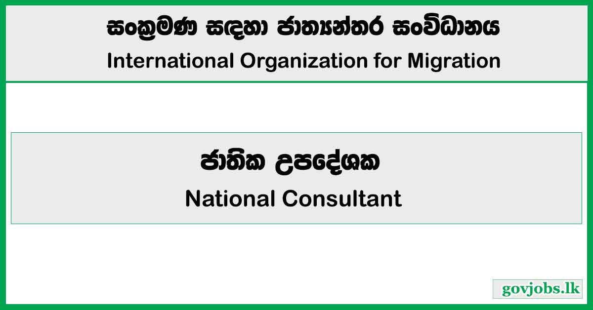 National Consultant - International Organization for Migration Job Vacancies 2024