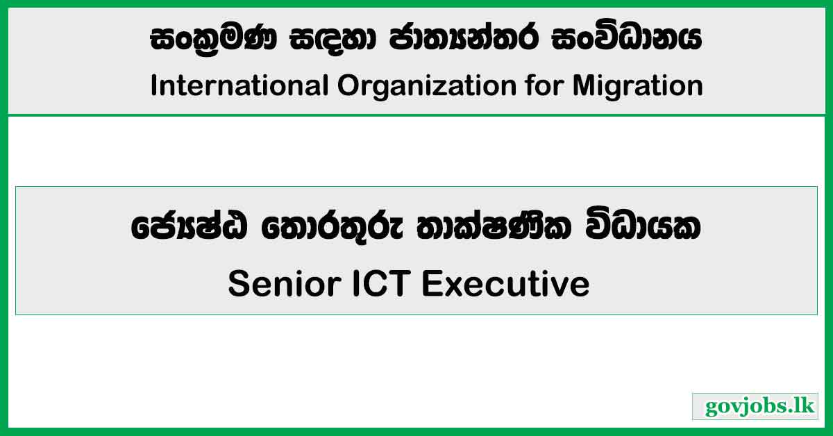 Senior ICT Executive - International Organization for Migration Job Vacancies 2024